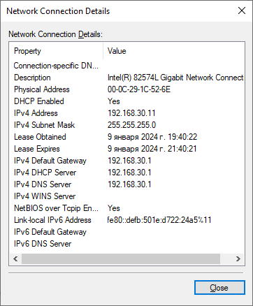 VPN router based on SoftEther VPN with Shadowsocks proxy